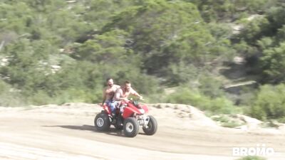 Bears and Bullies: Rough and Ready on the Road!