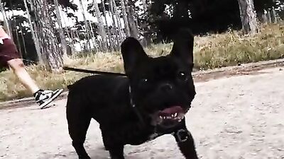 Raccompagné chez lui par deux lascars qui vont le violer