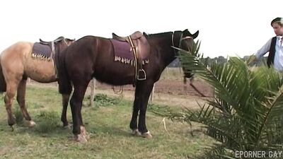 "Ranch Hands' Rough Ride"