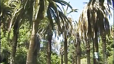 Gay Porn: Strapping the Beautiful Butts of Blonde Boys with Big Dicks