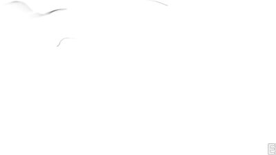 "Deep Throat: The Anal Adventures of John Doe"