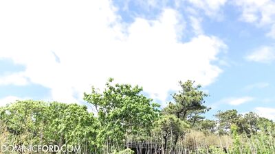 Seths Secret Swim-Off: A Solo Masturbation Session in the Pool with a Handsome Athlete