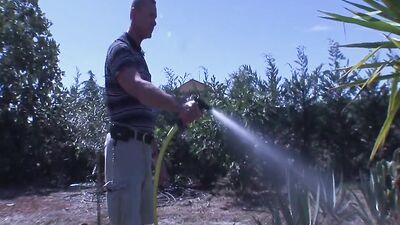 A man submits to the pleasure of two powerful transgender women in a sensual three-way encounter.