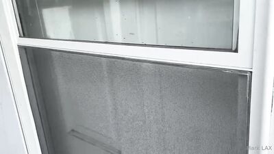 Brokeback Mountain: The Next Chapter