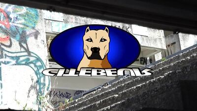 Gang Bang in the Alleyways of Marseille: A Hot Arabic Lascars Gets Fucked by a French Beau Gosse