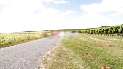 Wild Country Fuck - Two Young Men in the Countryside