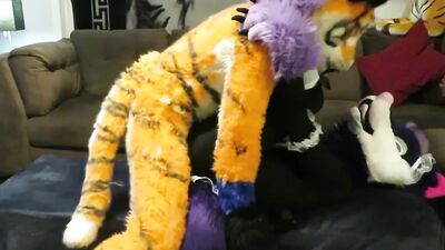 Tiger Tops Wolf
