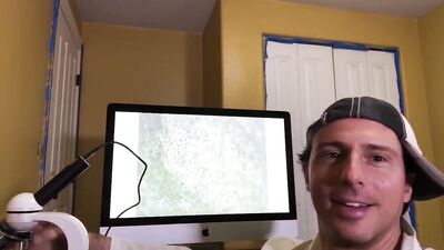 Doctor Reese Sperm Microscope