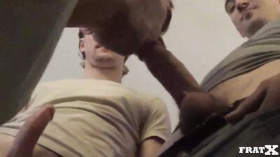 The Wizard of Oz - A Tail of Three Dogs