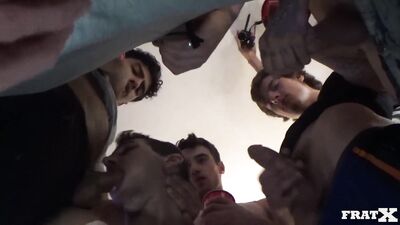 The Wizard of Oz - A Tail of Three Dogs