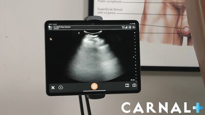 Gigantic Tongues in Little Cavities: Big Cocks Breed with Small Holes as Doc LeGrand and His Wolf Pack Take on Young Twinks During Medical Examinations