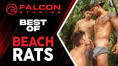 "Beach Bromance: Hunky Surfers Get Down and Dirty on the Sand"