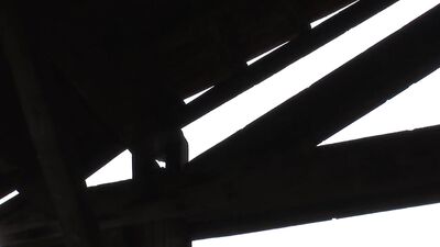 Bad Boys in Love: The Fugitive Encounter