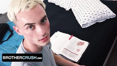 Gay For Science: A Stepbrothers Field Trip To The Anus