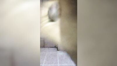 Mrs. Rai, the Indian matriarch, gets her first taste of erotic pleasure by a mysterious lover