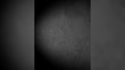 100% Free Gay Porn Videos with Hot and Sexy Men