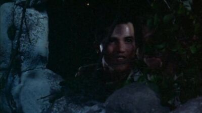 "Fistfuls of Fury: The Rise and Fall of Inmate Innocence"