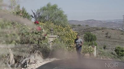 Two Hot Stallions in a Fix: Hardcore Action and Explosive Orgasms!