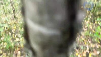 Two horny woodland creatures meet in the forest, resulting in a rough and raw sexual encounter