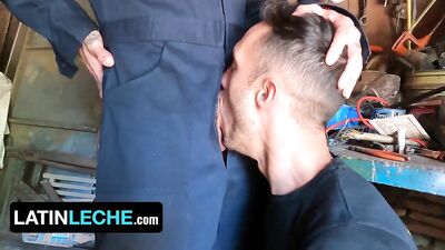 Stranded By The Highway, Nico Needs Urgent Rescue