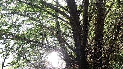 Almost got burned in front of three guys in nature