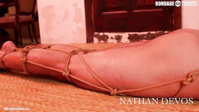 Blowjobs and bondage: one wild ride