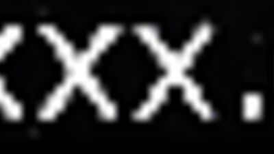 Grizzly Sightings in the City of Love: A Wild Bear Adventure in Paris