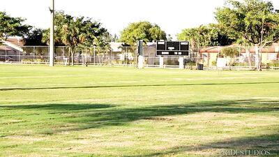 Hairy & Happy Daddies: A PrideStudios Compilation