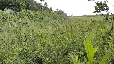 A Walk in Nature, Nude and Drenched in Pee and Cum