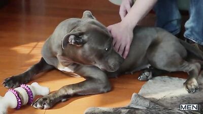 Third installment of "Stealth Fuckers" featuring Landon Mycles and Tommy Regan.