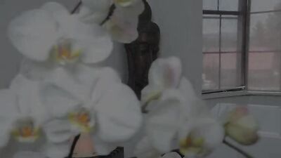 The Male Masseuse 2017