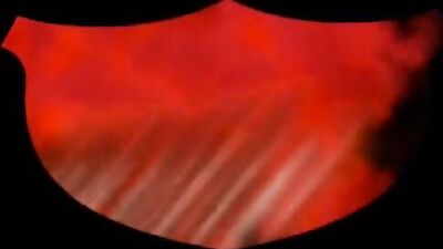 Exhibitionist Lascars