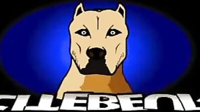 The Algerian hiker's beard is wrecked by a bear trap.