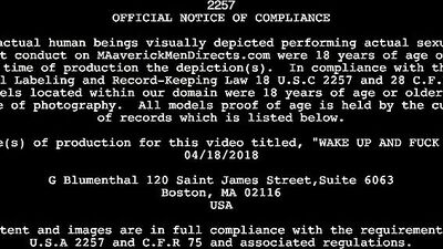 Old man with gray hair sodomizes a docile stallion without a condom.