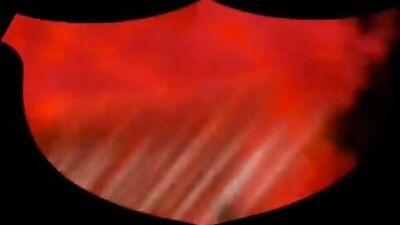 Fuck my tattooed ass without a condom.