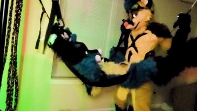 Xneo breed Sucario's ass bareback in a sex swing