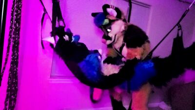 Xneo breed Sucario's ass bareback in a sex swing