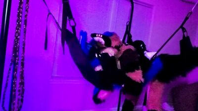 Xneo breed Sucario's ass bareback in a sex swing