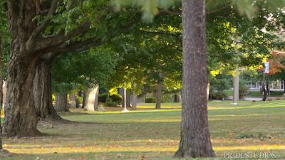 Cock Virgins Sucking 3 Dicks At Once