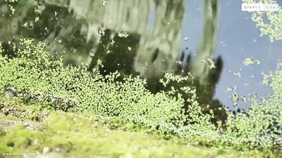 army-dropouts-scene-2