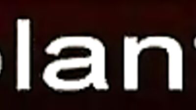 Bestial Gay Porn: Brutal Forceful Cock Pounding of a Submissive Dog