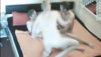 Gay Porn Threesome: Lets Get F**ked!