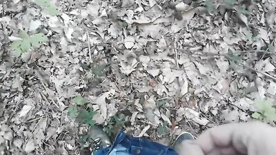 Forest Erotica: A Tiny Love Story