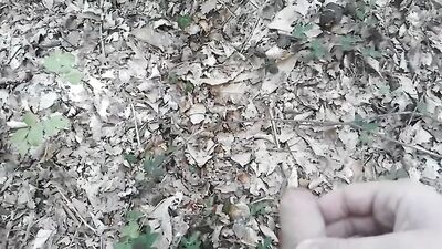 Forest Erotica: A Tiny Love Story