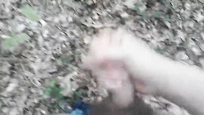 Forest Erotica: A Tiny Love Story