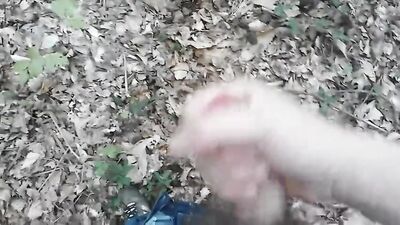 Forest Erotica: A Tiny Love Story