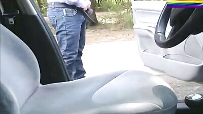 Cruising Desires: An All-Male Adventure of Passion and Pleasure