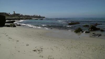 American Stallions: Raw, Rugged, and Ready - A Gay Porn Video with a Twist