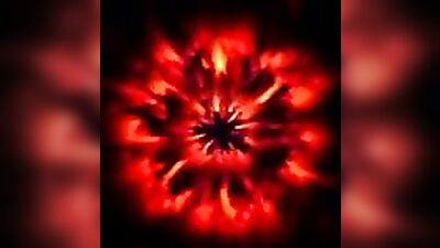 Brazilian Muscle Mannequin from São Paulo